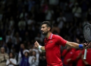 AYX体育赛事-年终总决赛险胜戴维斯杯，德约科维奇关键制胜