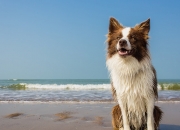 AYX体育赛事-数据风暴席卷锡安，热火铁壁全面压制深圳队