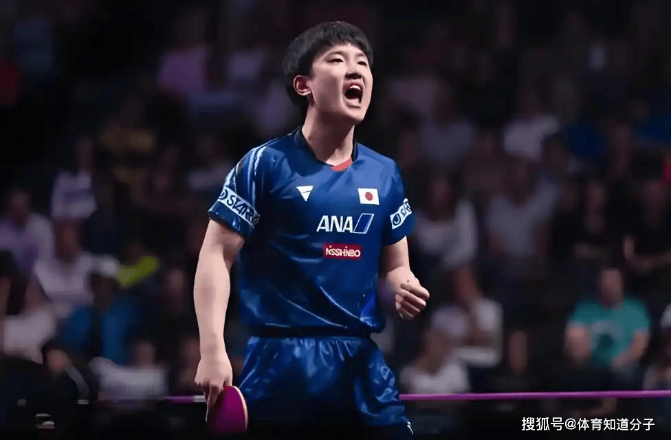 日本队力克波兰队，张本智和状态火热