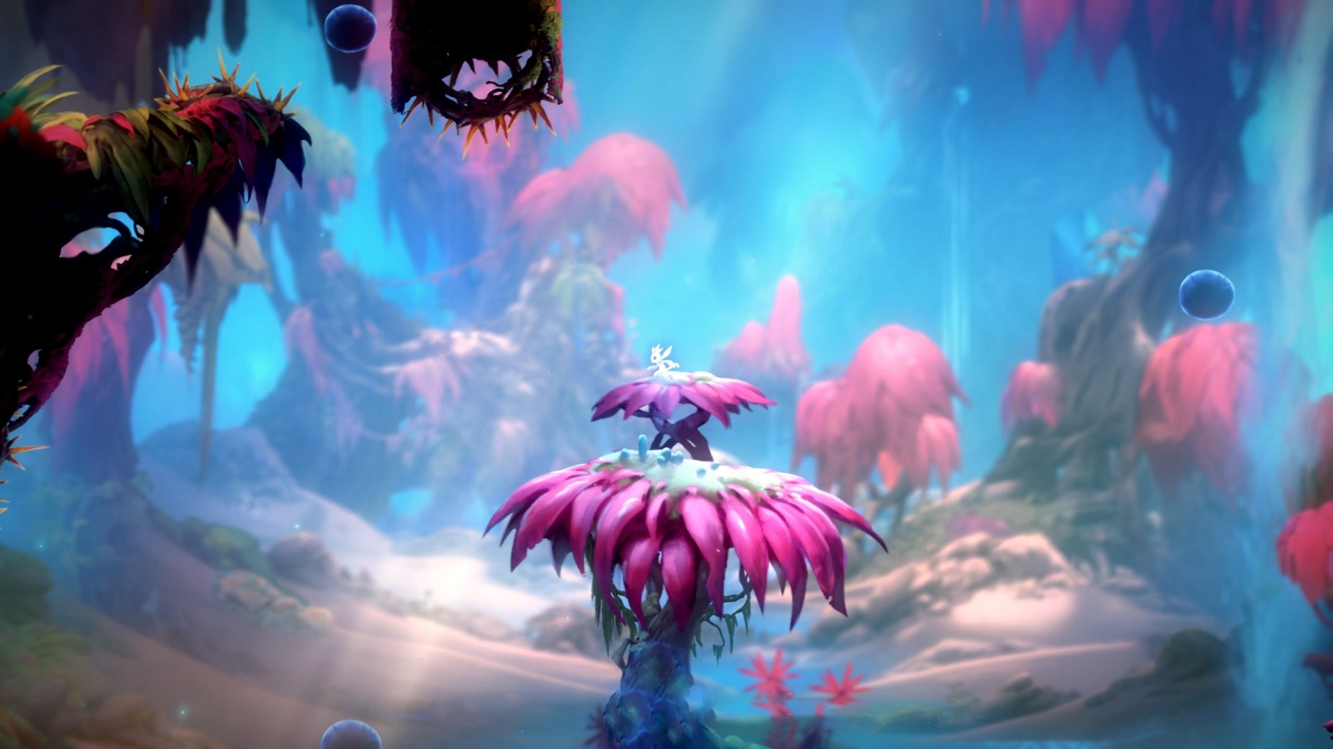 跨界征服，从绿茵场到硬木地板的统治力之夜