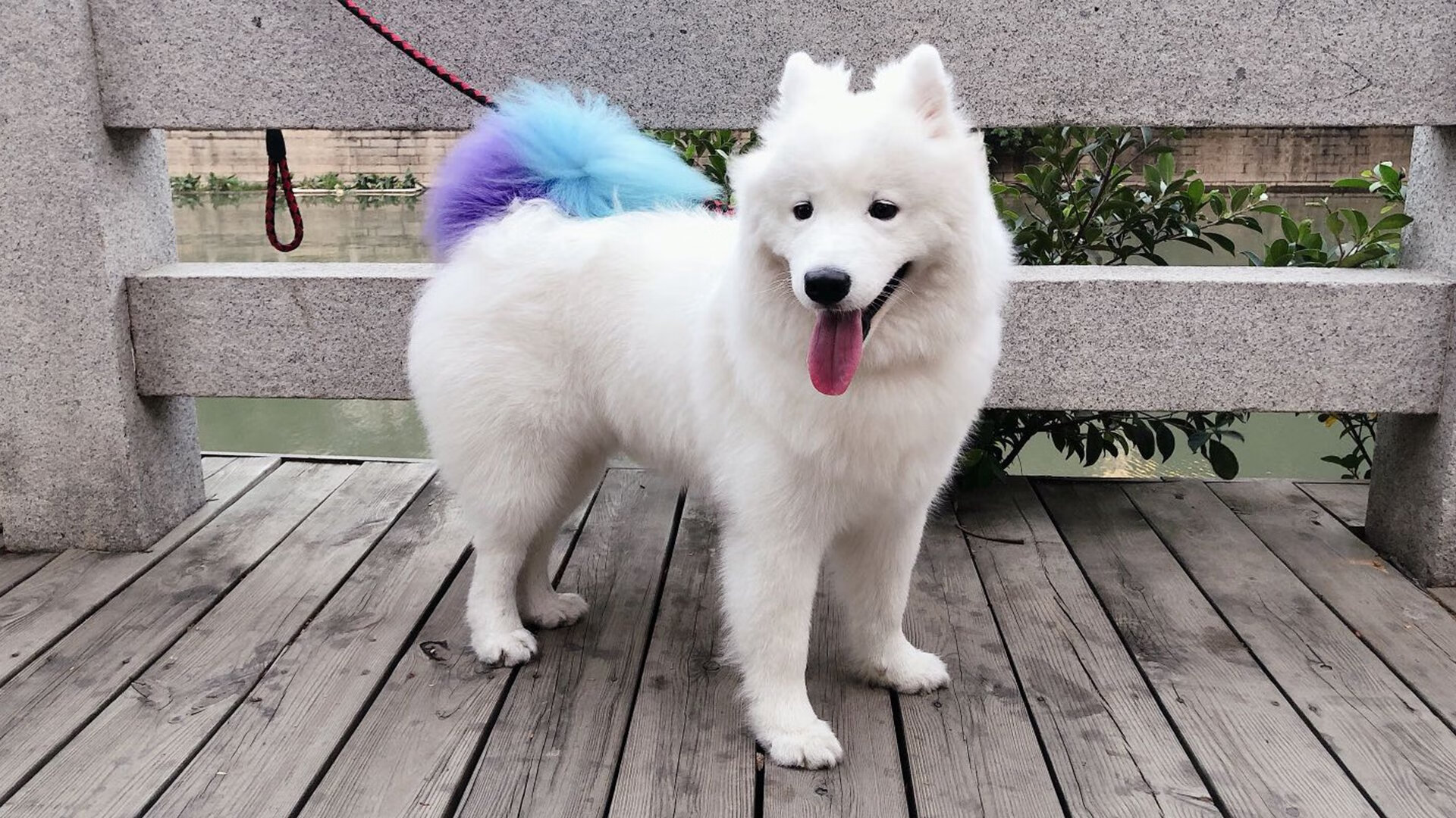 从里昂爆冷马赛到京多安欧冠封神,足球世界唯一性的双重奏鸣