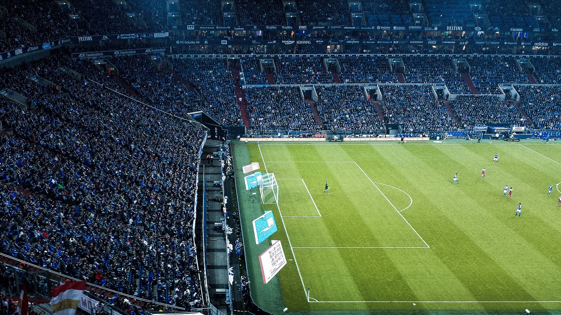 哈利伯顿的魔法,尼克斯如何在他的节奏中翻盘黄蜂